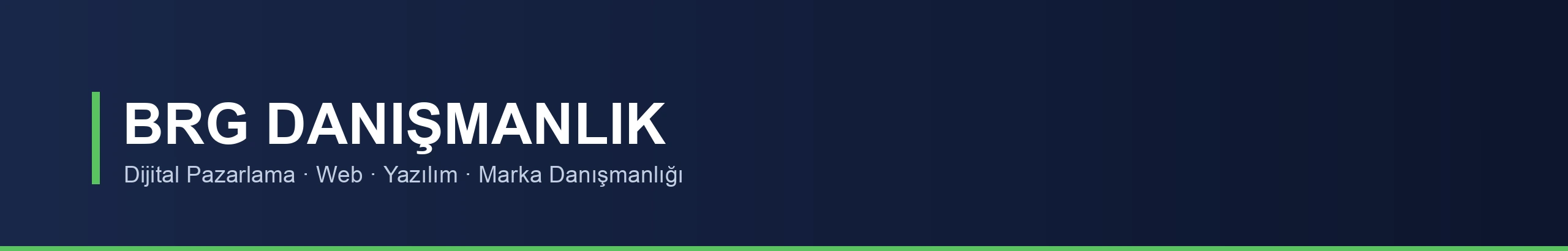 BRG Danışmanlık banner