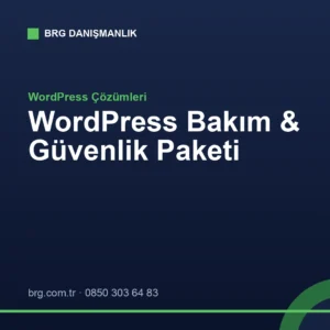 WordPress Bakım ve Güvenlik Paketi - BRG Danışmanlık