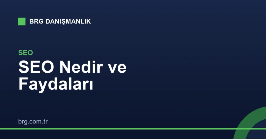 SEO Nedir? İşletmenize Sağladığı 6 Somut Fayda
